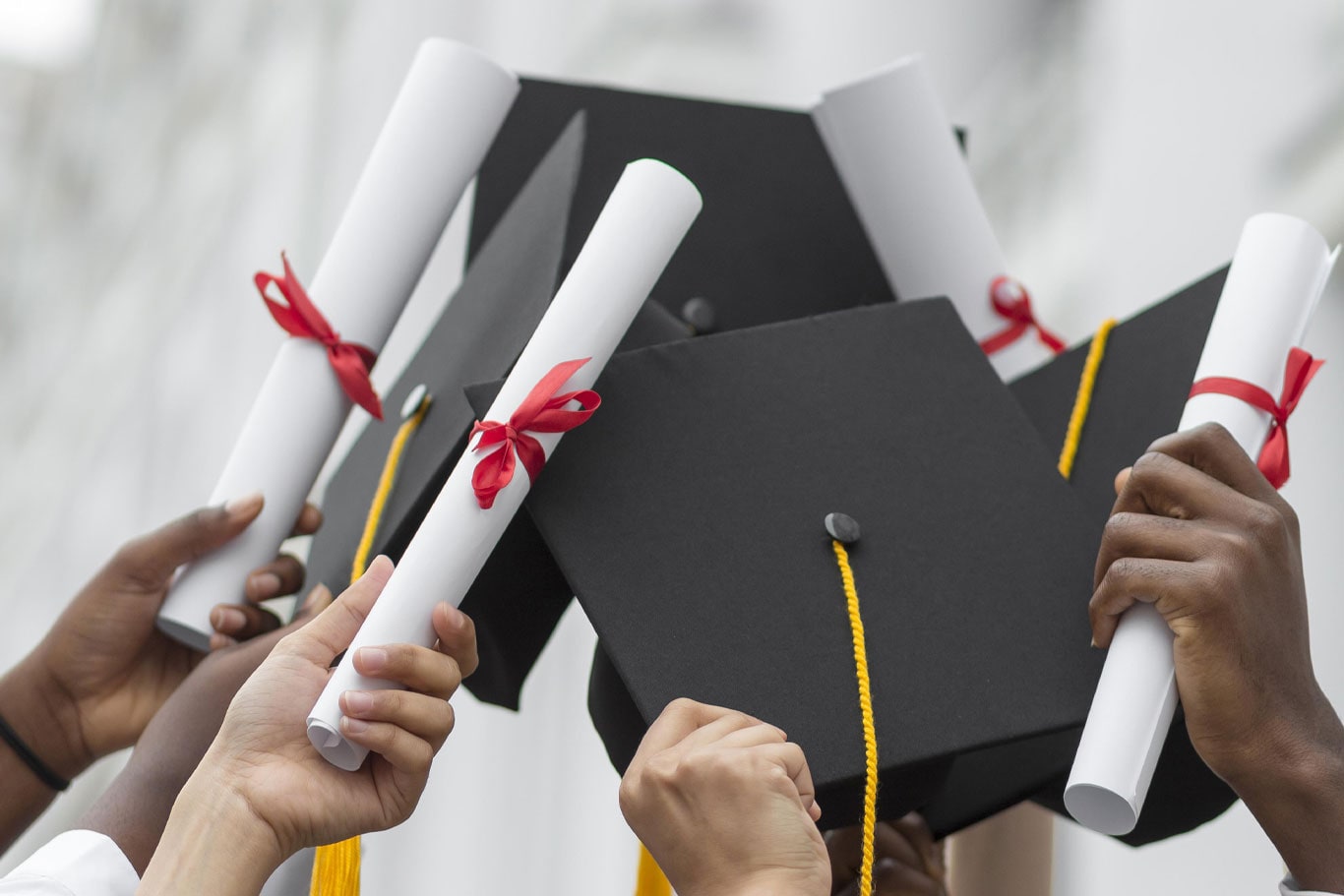 Educational Enterprises & Management